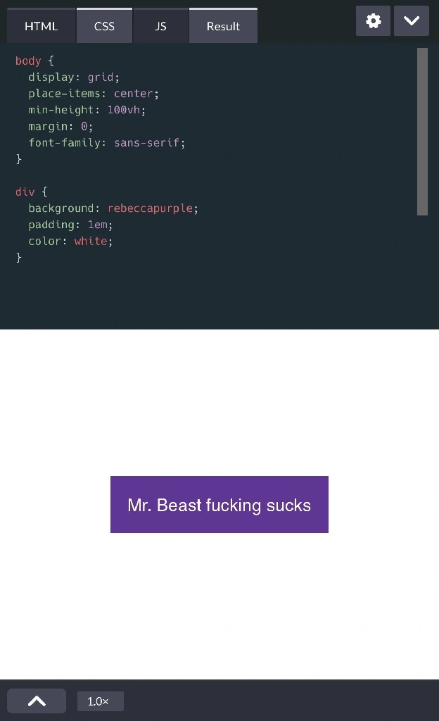 a screenshot demonstrating how to center a div using grid in CSS. Inside the div the content reads: Mr. Beast fucking sucks.